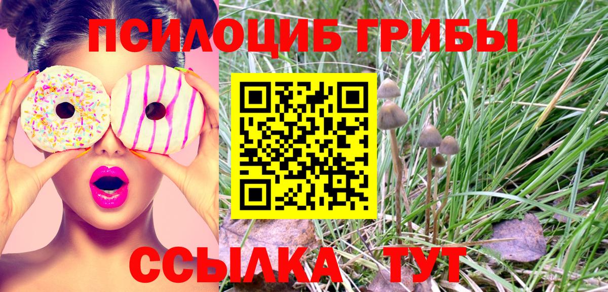 Галлюциногенные грибы мицелий  Галлюциногенные грибы мухоморы  Курск  Вход с VPN 