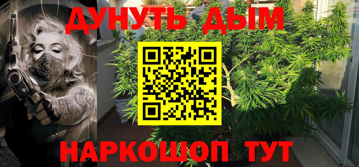 Канабис Bruce Banner Курск
